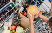 Grocery shopping cart
